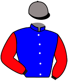 Casaque n°1