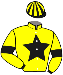 Casaque n°4