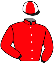 Casaque n°11