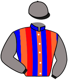 Casaque n°14