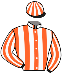 Casaque n°6