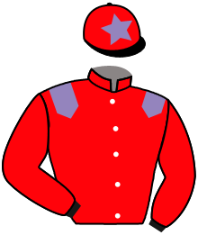Casaque n°2