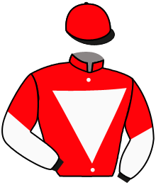Casaque n°12