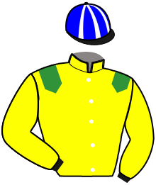 Casaque n°15