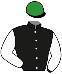 Casaque n°8