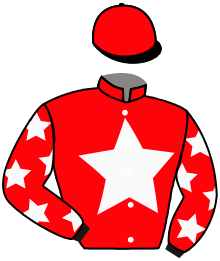 Casaque n°10