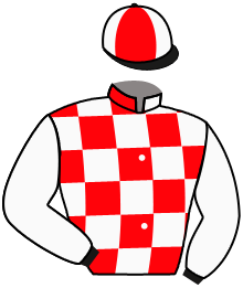 Casaque n°2