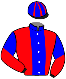 Casaque n°10