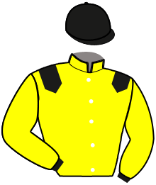 Casaque n°12