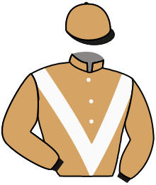 Casaque n°2