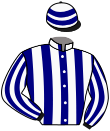 Casaque n°6