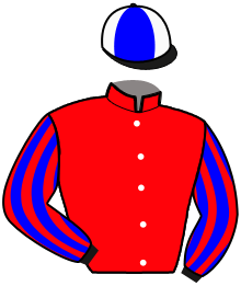 Casaque n°11