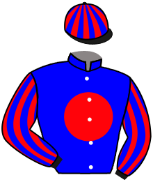 Casaque n°2