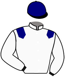 Casaque n°3