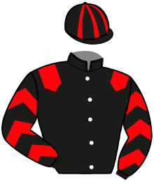 Casaque n°6