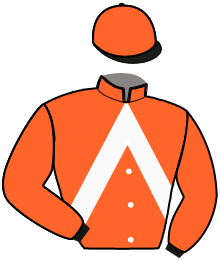 Casaque n°7