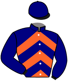 Casaque n°10