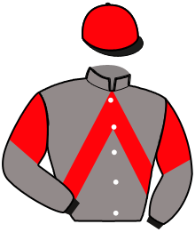 Casaque n°4