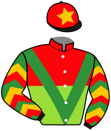 Casaque n°4