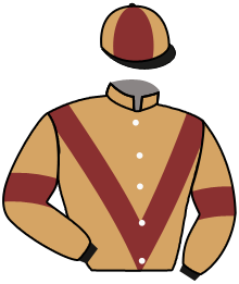 Casaque n°3