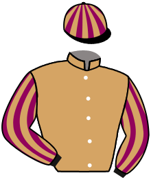 Casaque n°2