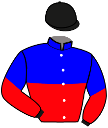 Casaque n°4