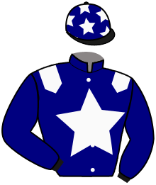 Casaque n°2