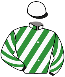 Casaque n°17
