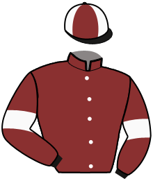 Casaque n°11