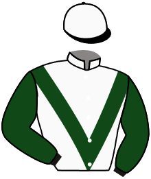 Casaque n°11