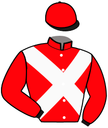 Casaque n°10