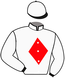 Casaque n°13