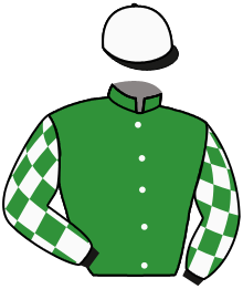 Casaque n°11