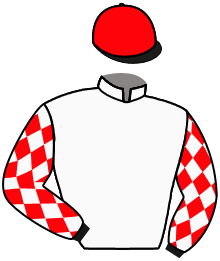 Casaque n°1