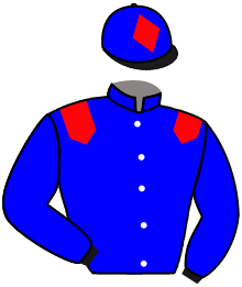 Casaque n°9