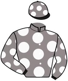 Casaque n°6