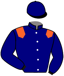 Casaque n°2