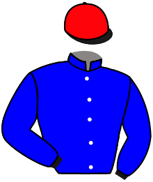 Casaque n°3