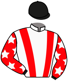 Casaque n°6