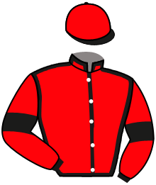 Casaque n°2