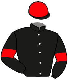 Casaque n°14