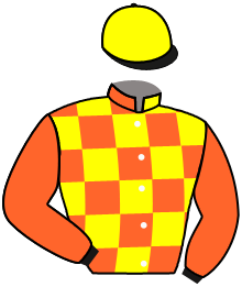 Casaque n°4