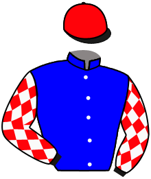 Casaque n°3