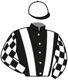 Casaque n°4