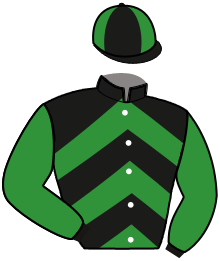 Casaque n°13