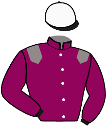 Casaque n°4