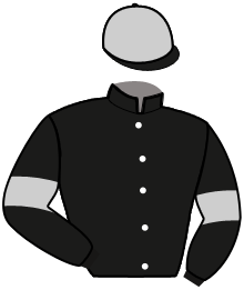 Casaque n°3