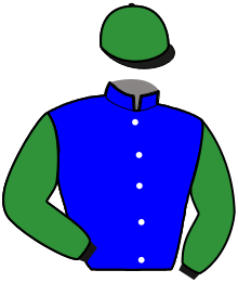 Casaque n°2