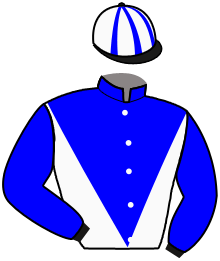 Casaque n°11