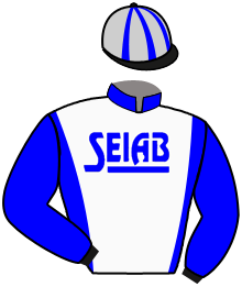Casaque n°2